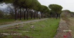 Sonntag in Rom · Spaziergang auf der Appia Antica