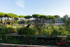 Rome hidden gems rose garden panorama