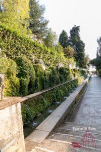 Rome September Villa D'Este viale 100 fontane