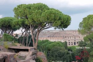 Rome October Palatine Colosseum