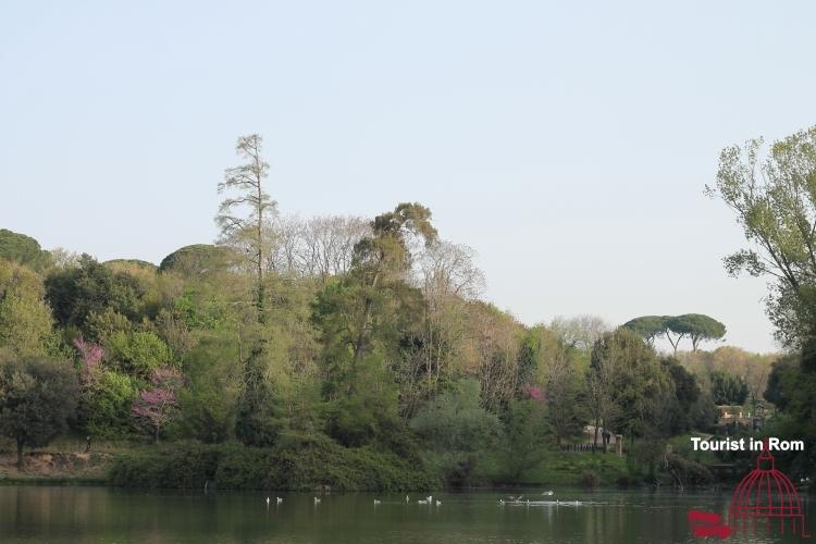 Foto di primavera in Villa Pamphili 57