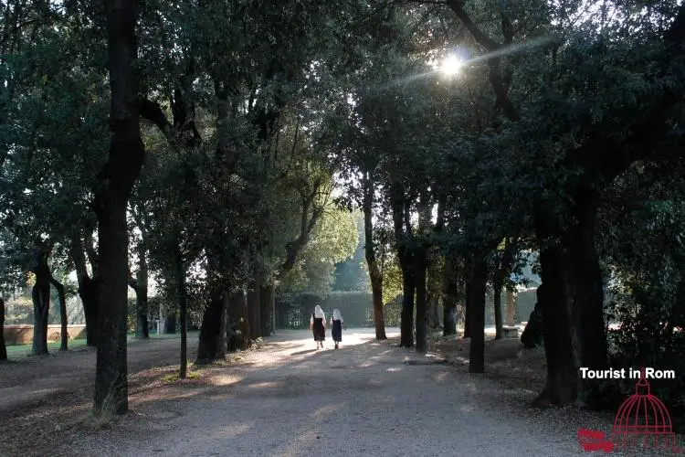 Foto estive di Villa Pamphili 40